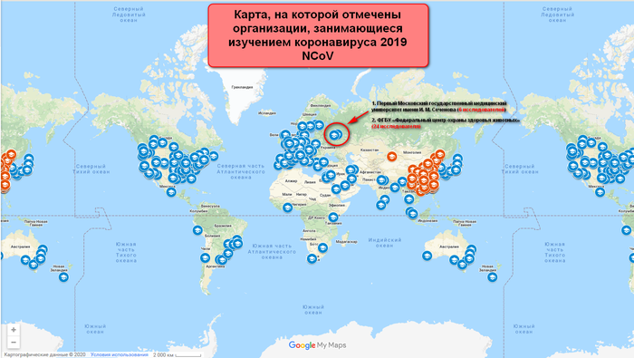 On the topic of the day or about the new coronavirus (information from scientists) - Coronavirus, Forum, Copy-paste, Longpost