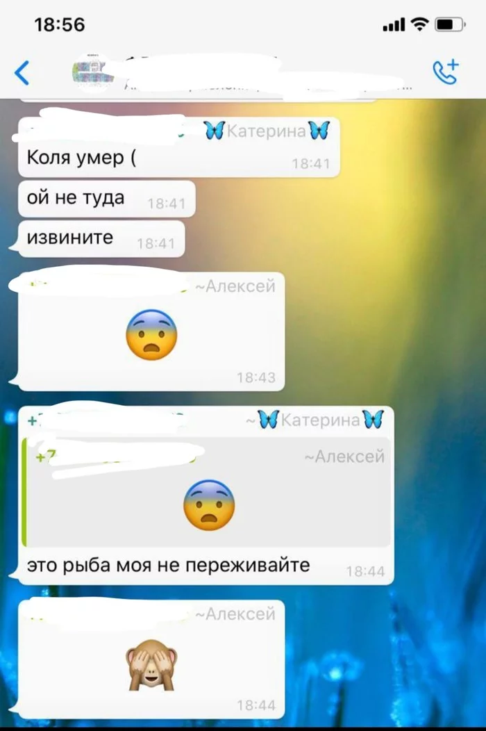 Общедомовые чаты ванлав - Моё, Чат, Whatsapp