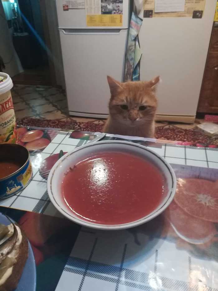 Когда очень хочешь кисель