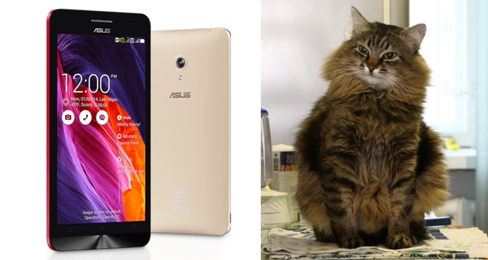   Asus Zenfone 6 (A600CG)  Asus, Asus zenfone 6,  , 