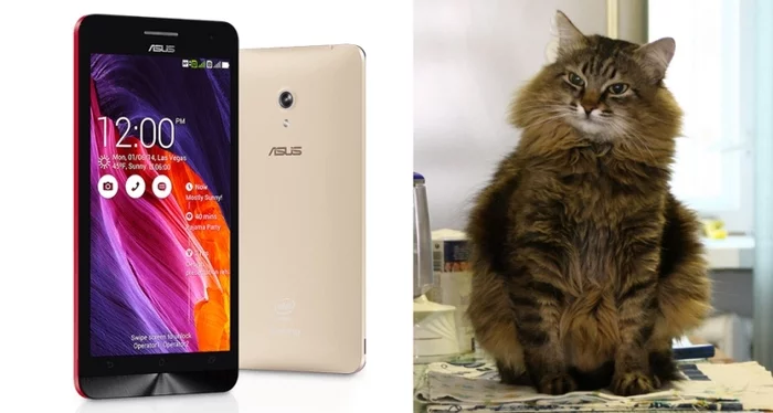 Нужна помощь Asus Zenfone 6 (A600CG) Новосибирск - Моё, Asus, Asus zenfone 6, Ремонт телефона, Помощь