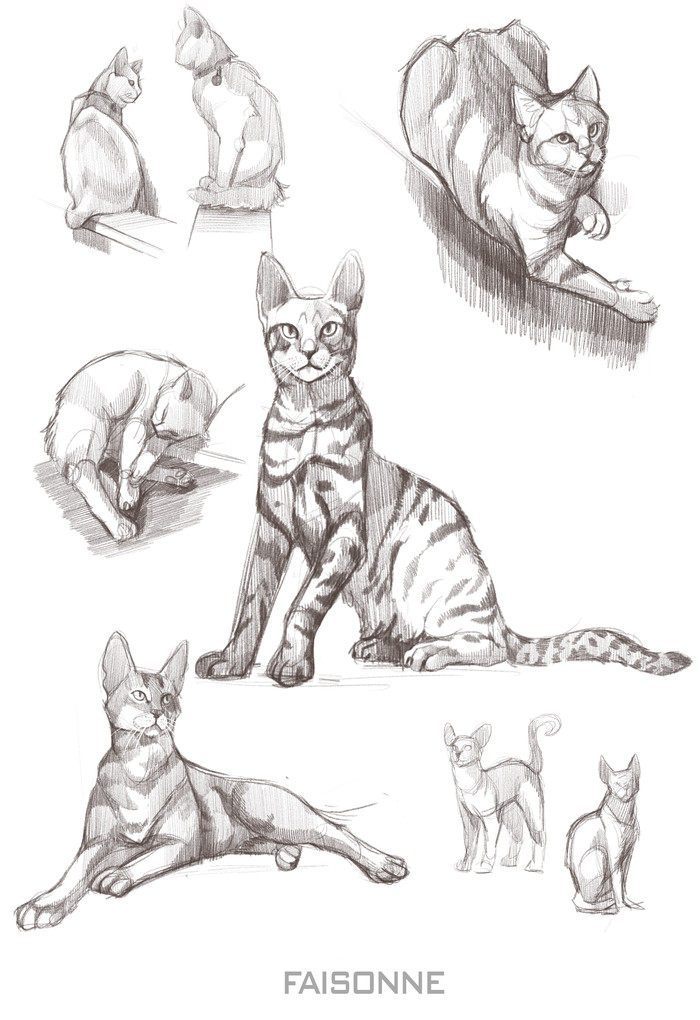    Procreate, , , 