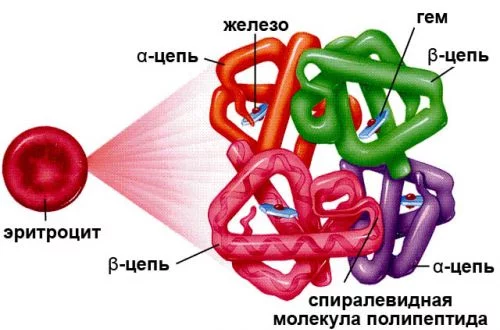 Reply to the post “In light of recent events” - Dry ice, The science, Biology, Events, Reply to post, Longpost