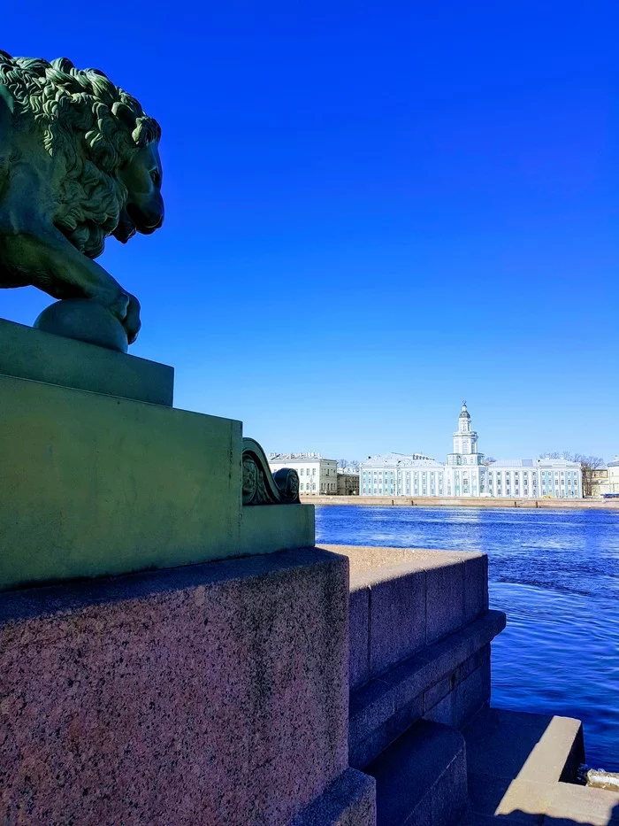 Saint Petersburg - My, The photo, Saint Petersburg, Town, Neva