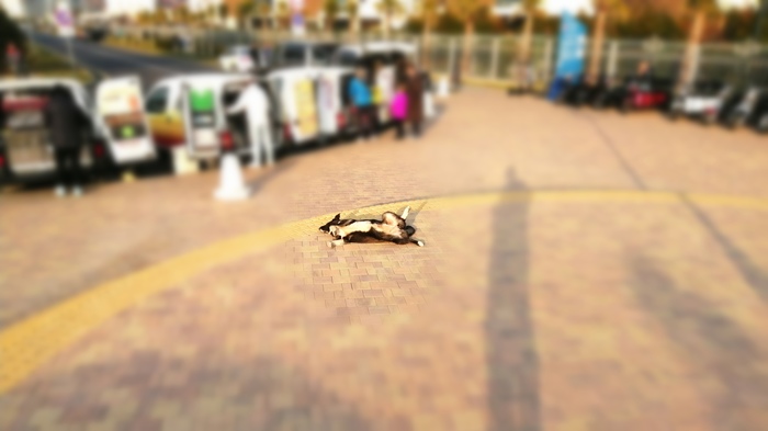 � ������ ���� �����! ������ ��� ���� �� (�����������)