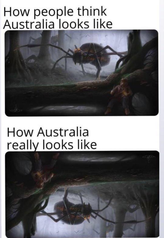  Reddit, , 