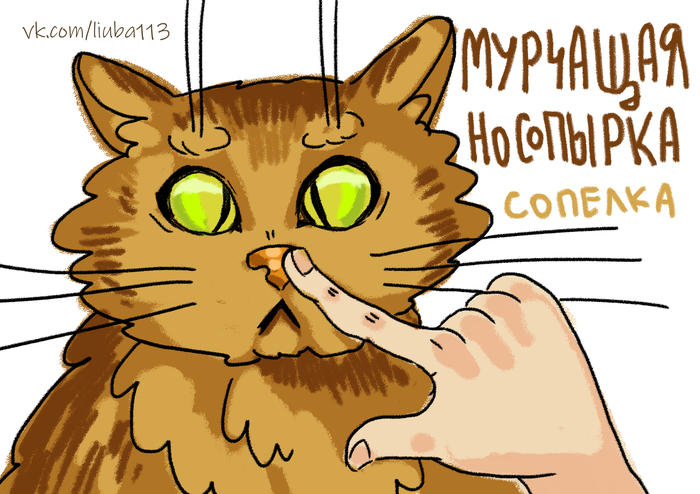 А ваш котик храпит?)