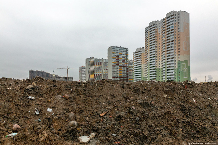 Что посмотреть в шушарах. Смотреть фото Что посмотреть в шушарах. Смотреть картинку Что посмотреть в шушарах. Картинка про Что посмотреть в шушарах. Фото Что посмотреть в шушарах