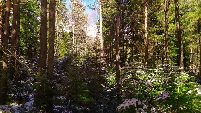 �������� ���� ������