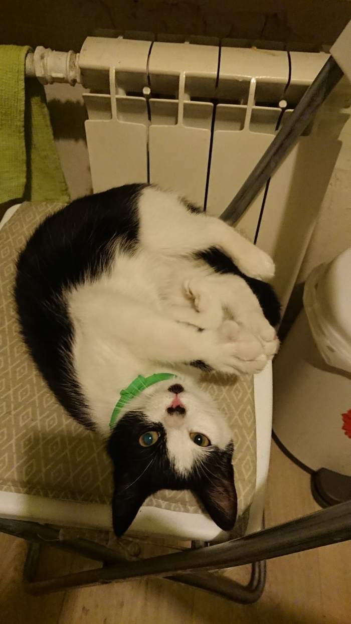  5 , , , ,   ,  , -