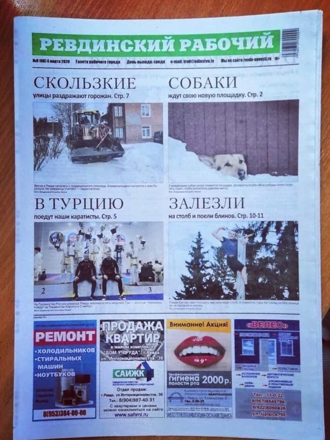 Slippery dogs have entered Turkey - slippery, Dog, Turkey, Newspapers, Article, Rock ebol, The words