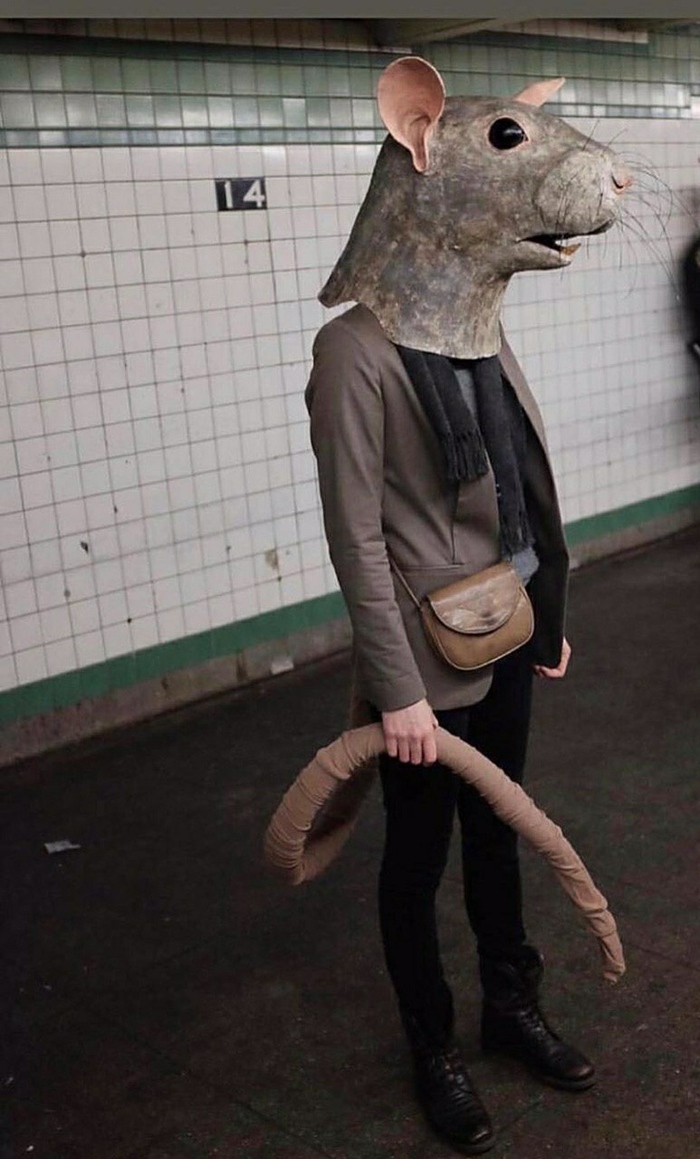     , 