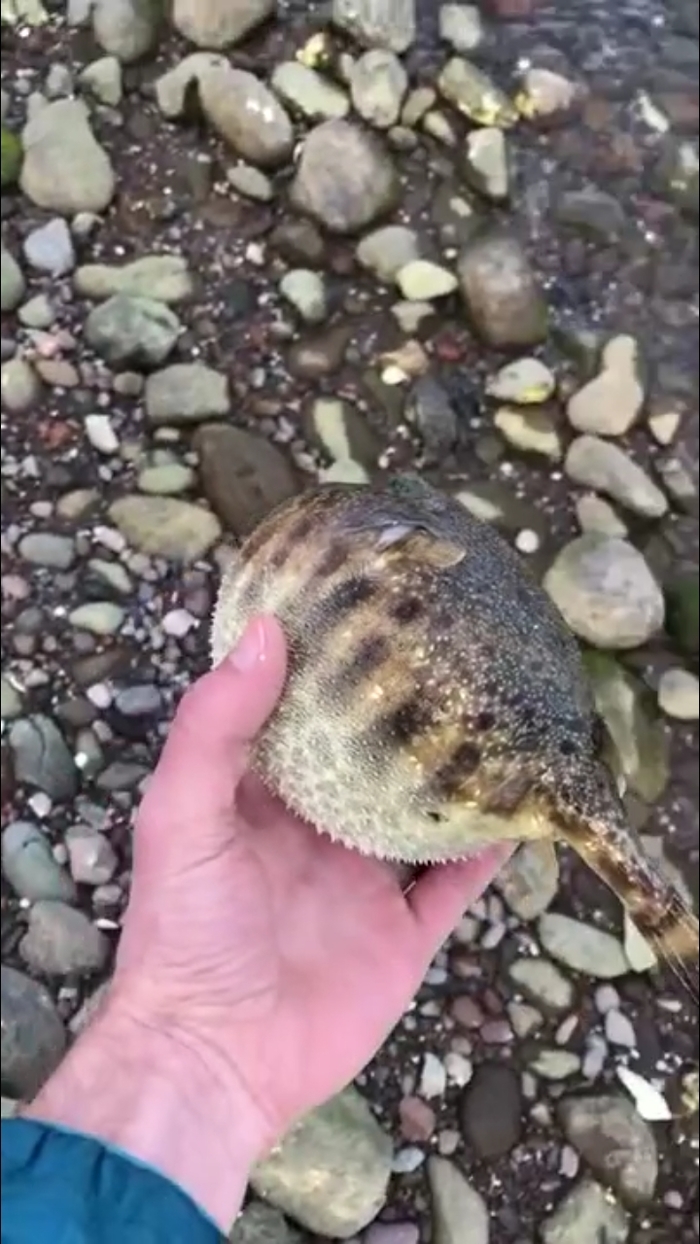     ,  , , 