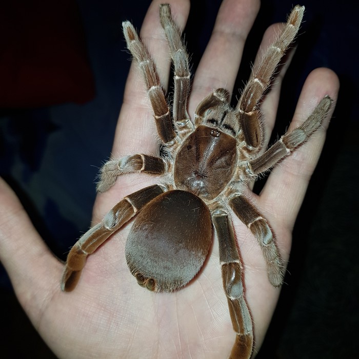  , ,  , 
