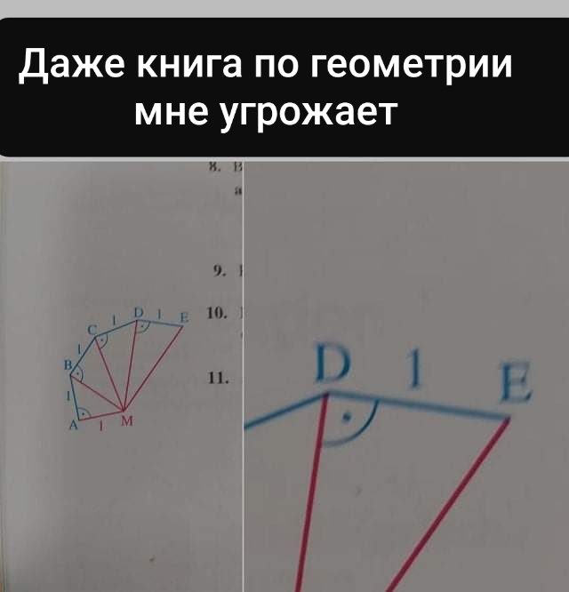 It seems to me that she is hinting that if I don’t learn to solve problems, then this will happen to me... - Mathematics, Task