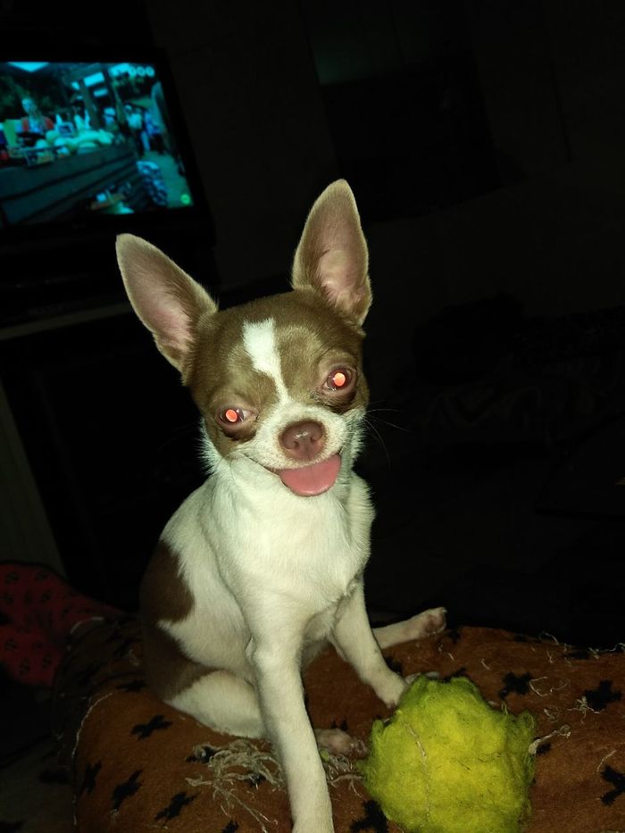 Сигнал потерян | Пикабу