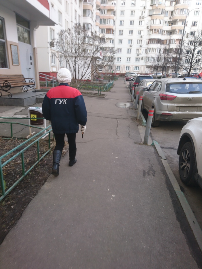 В неестественной среде гуков очень легко заметить