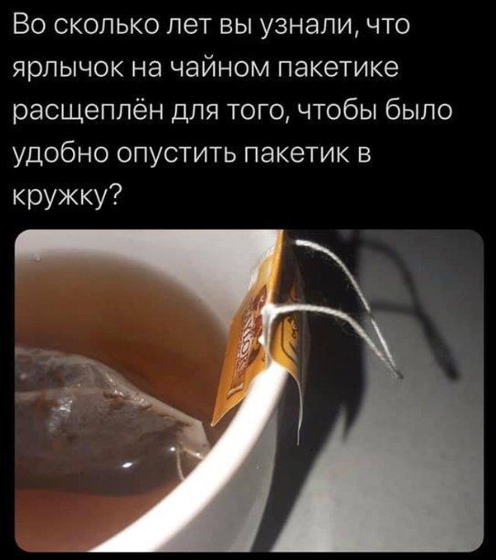 What is the purpose of the label on a tea bag? - Life hack, Tea