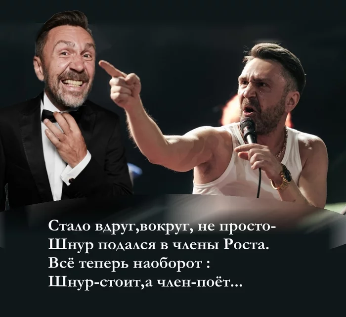 THE CORD IS STANDING, AND THE DICK IS SINGING... - My, Sergei Shnurov, Growth Party, Boris Titov, Ditties, Picture with text, Toilet humor, Fedorshum, Elections