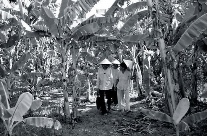 в каком году появились бананы в ссср. 1583577628166070609. в каком году появились бананы в ссср фото. в каком году появились бананы в ссср-1583577628166070609. картинка в каком году появились бананы в ссср. картинка 1583577628166070609. Впервые СССР закупил достаточно крупные партии бананов в 1938 году, когда ещё не надвигалась мировая война, а завершившаяся индустриализация стала давать первые плоды и позволила направить часть валютной выручки в том числе и на экзотику. К новому 1939 году бананы появились в центральных магазинах Москвы, а затем и в столицах союзных республик. в каком году появились бананы в ссср. 1583577628166070609. в каком году появились бананы в ссср фото. в каком году появились бананы в ссср-1583577628166070609. картинка в каком году появились бананы в ссср. картинка 1583577628166070609. Впервые СССР закупил достаточно крупные партии бананов в 1938 году, когда ещё не надвигалась мировая война, а завершившаяся индустриализация стала давать первые плоды и позволила направить часть валютной выручки в том числе и на экзотику. К новому 1939 году бананы появились в центральных магазинах Москвы, а затем и в столицах союзных республик.