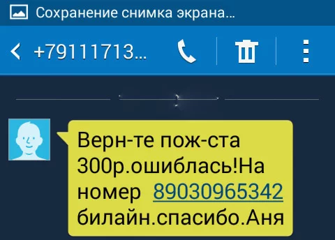 Refund the money, I sent it by mistake... - My, SMS, Fraud