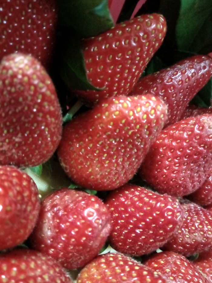 И так сойдёт)) | Пикабу