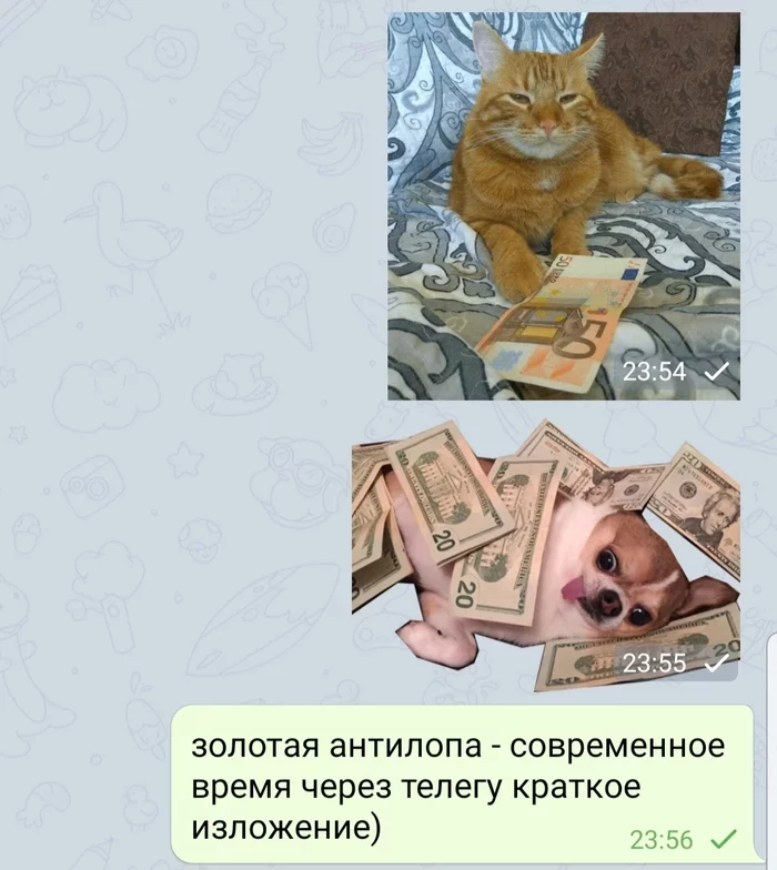 Short retelling - My, Memes, Humor, Telegram, Stickers, cat, Dog