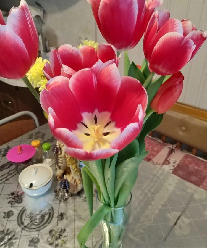 Gave my wife a bouquet - Girl and five blacks, Memes, Bouquet, March 8 - International Women's Day, Flowers