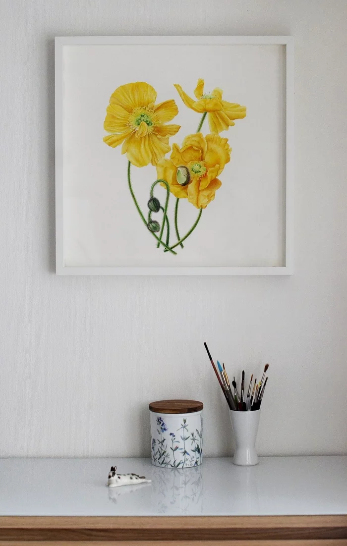 Yellow poppy, watercolor - My, Watercolor, Botanical illustration, Art, Painting, Longpost