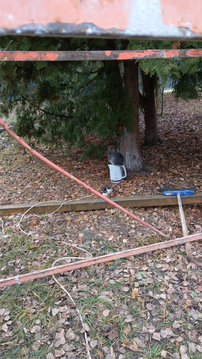 ��� ��� ��������