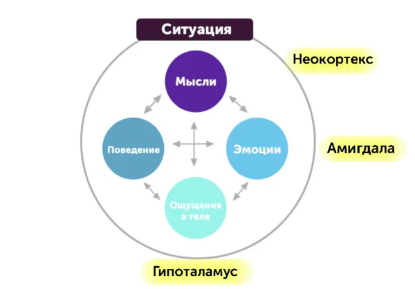 Как побороть тревогу и страх: 5 эффективных инструментов - Моё, Тревога, Мозг, Психология, Психотерапия, Страх, Гифка, Длиннопост