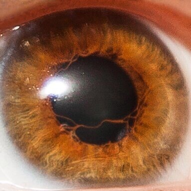 My homemade iris - My, Eyes, Iris, Ophthalmologist