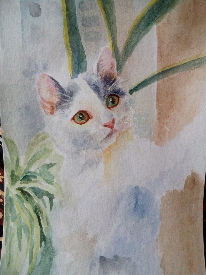 Learning to draw on cats... - My, Watercolor, Animalistics, Learning to draw, Painting, cat, Images, Beginner artist, Creation