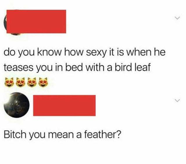 You know how sexy it is when he teases you in bed with a bird's leaf - Do you mean feather? - Reddit, Twitter, Stupidity, Feather