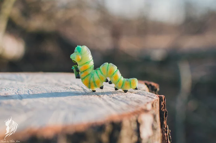 Mr. Caterpillar made of polymer clay - My, Handmade, Polymer clay, Longpost, Caterpillar, Insects, Needlework without process, Nika_kiss