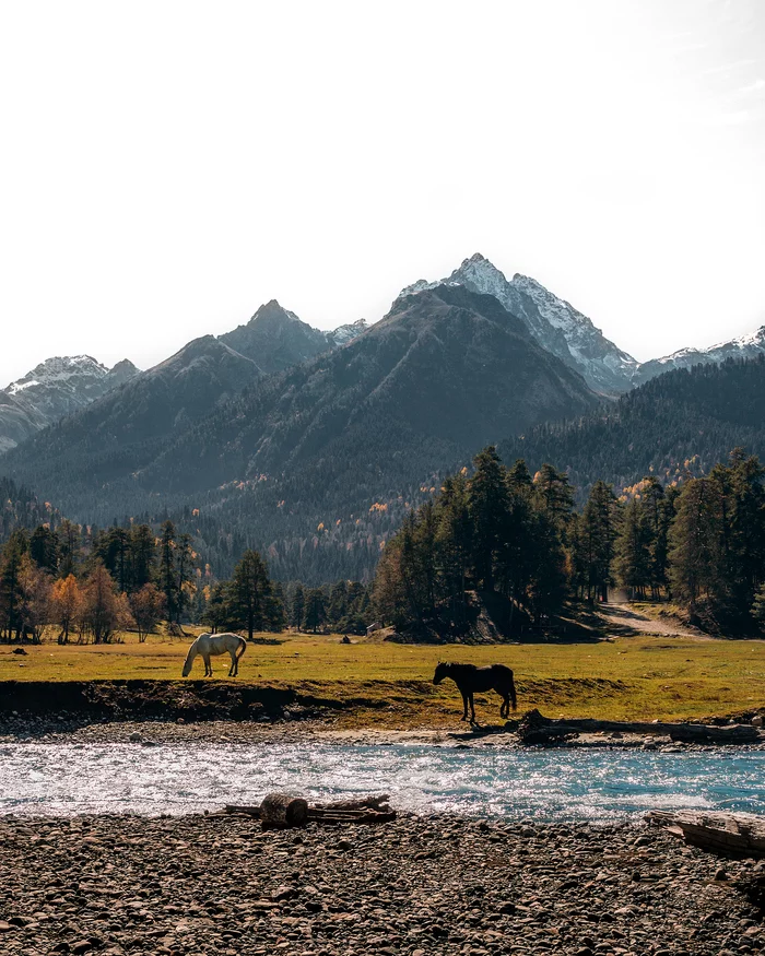 Wildlife of Arkhyz) - My, Arkhyz, Nature, Horses, The photo, Longpost