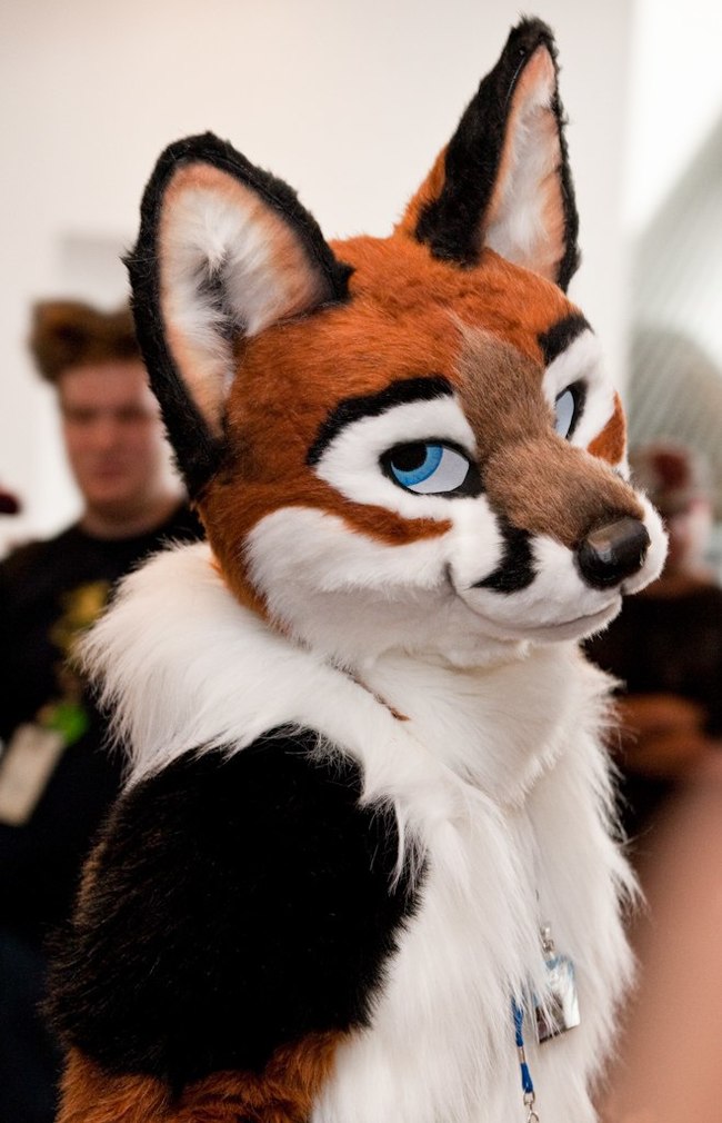    ?      ,  ?        ) Furry Fox, , , 