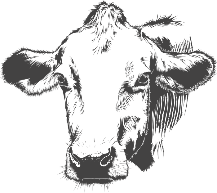 Расходы на 2 коров и телочек за февраль 2020 года