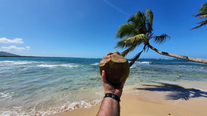 Paradise on the Atlantic Coast - My, Mobile photography, Dominican Republic, Ocean, Beach, Coconut, Palm trees