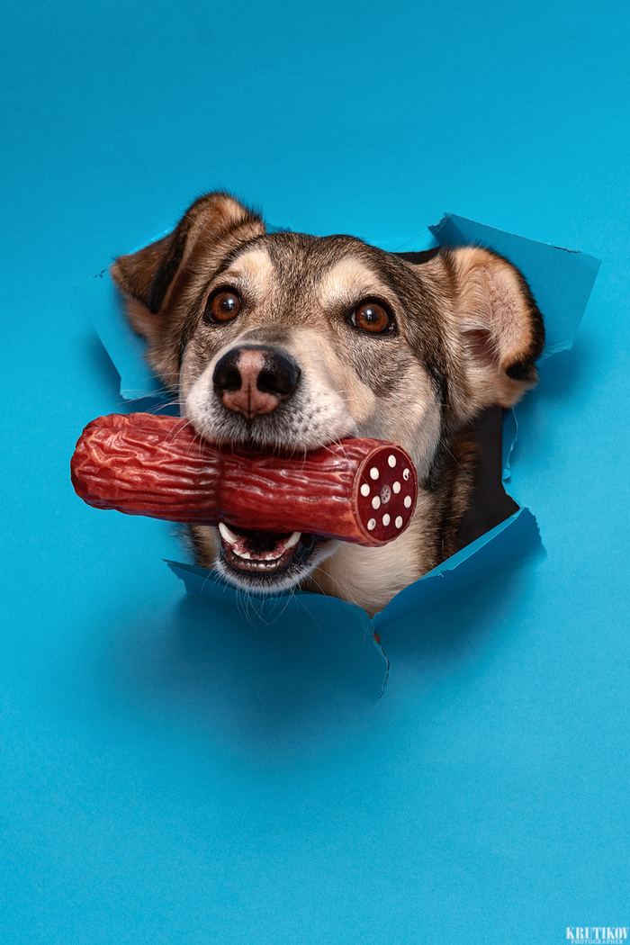 - Здрасьте! Колбаску заказывали?