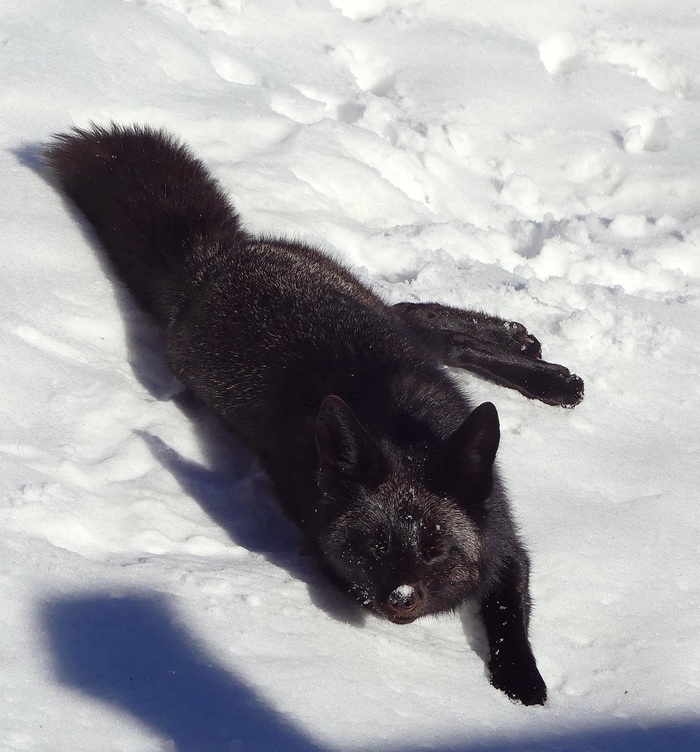 ������ ������� �� ����� ����� ^_^