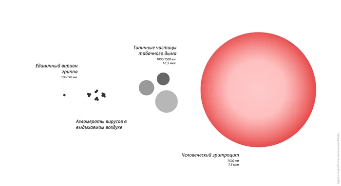 Comparative size of virions, smoke particles and human red blood cells - My, Infographics, Virus, Flu, Erythrocytes, Biology