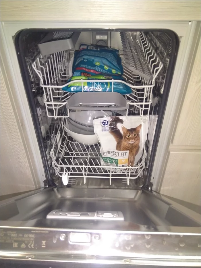 Dishwasher of a strong and independent woman - My, cat, Women