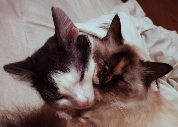 �������� <3