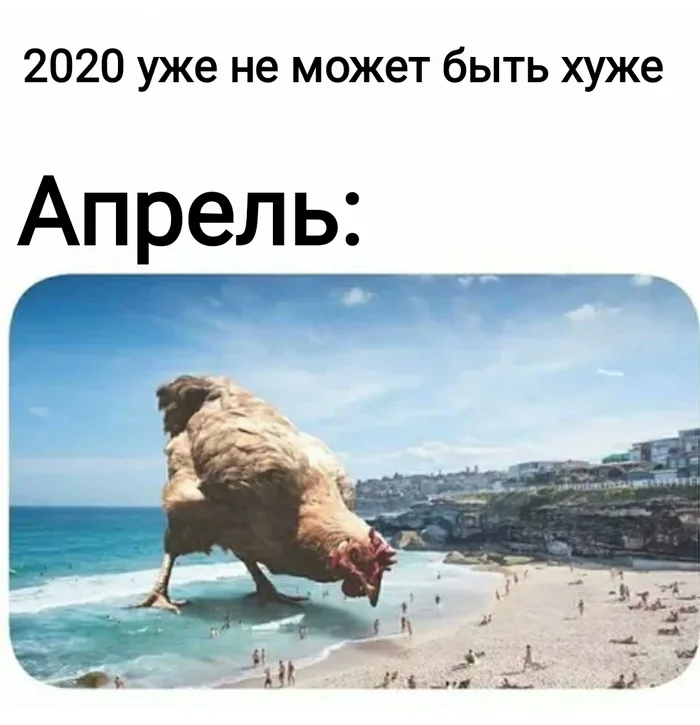 2020 уже не будет хуже - 2020, Апокалипсис, Курица, Пляж