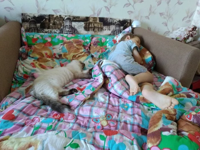 Kids are sleeping - My, Fat cats, cat, Fluffy, The bone is fluffy, Children, Dream