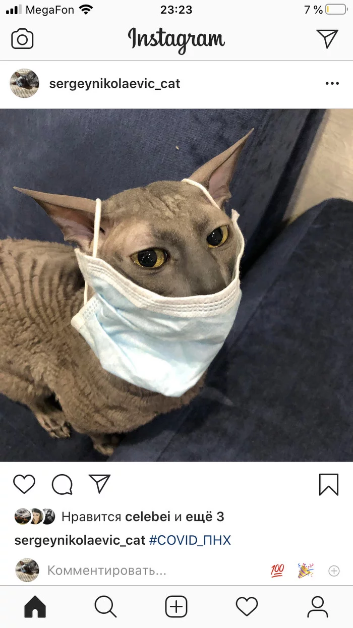 Fun tag - Coronavirus, Catomafia, cat, Mask, Instagram