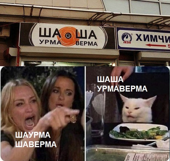 Shasha, urmaverma - Memes, cat, Picture with text, Two women yell at the cat, Shawarma, Rock ebol