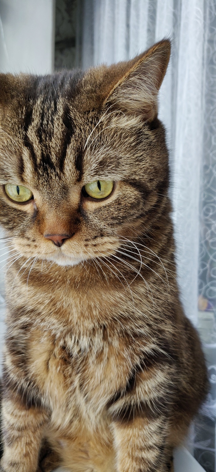 ��������� ���������. ��� ������ ��������� ������