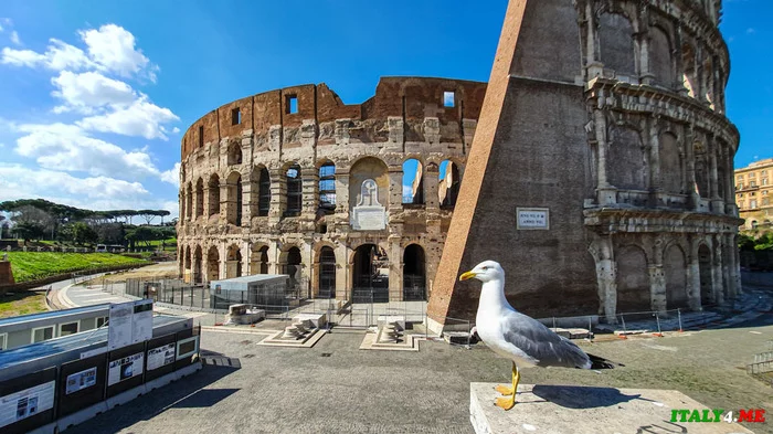 There is a quarantine in Rome, only seagulls can move without restrictions - My, Quarantine, Rome, Coronavirus, Italy, Seagulls, Coliseum, Video